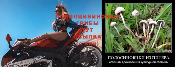 гидропоника Алзамай