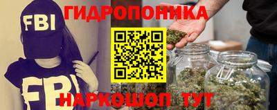 мяу мяу мука Гусь-Хрустальный