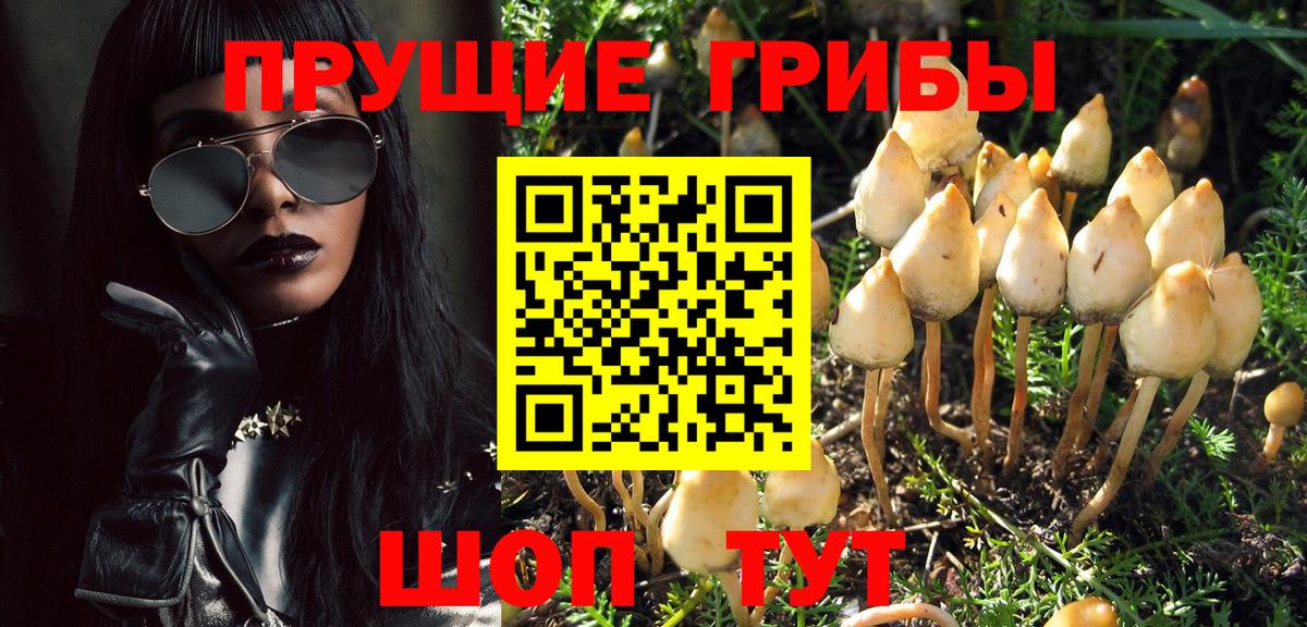 Галлюциногенные грибы GOLDEN TEACHER Кириши