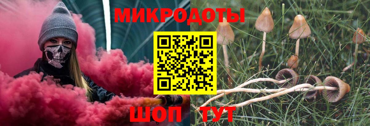 Псилоцибиновые грибы Psilocybe  Вход с VPN  Кириши 